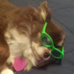 Meet your Posher, Virginia